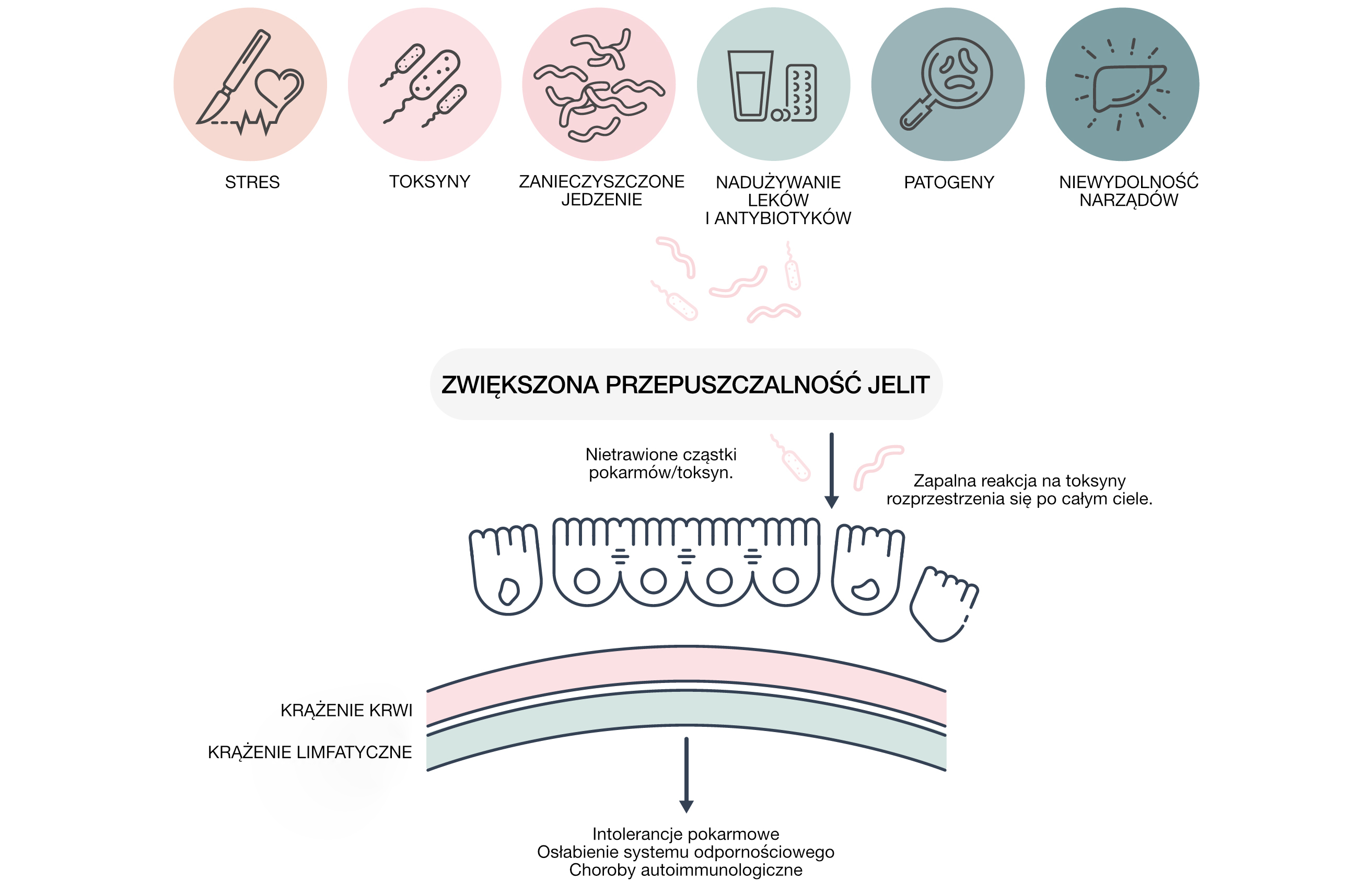 syndrom-propustneho-streva-eccevita_pl